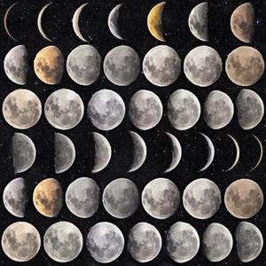 Moon Phases image