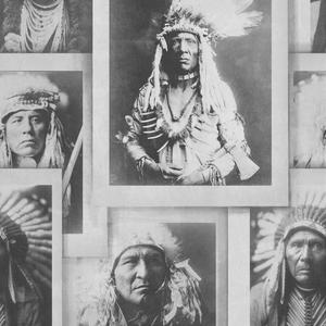 Indian Chiefs image