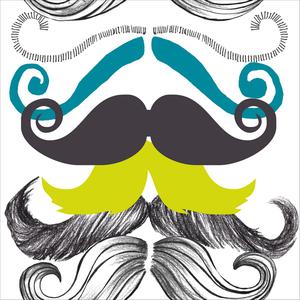 Different Moustaches image