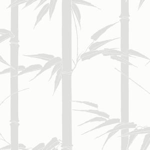 Bamboo Hawaii - Brume image