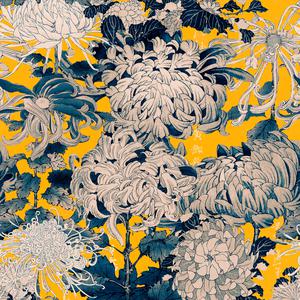 Chrysanthemums - Yellow image