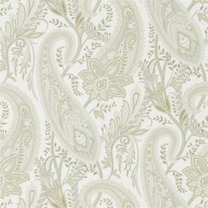 Cashmere Paisley - Mineral / Taupe image