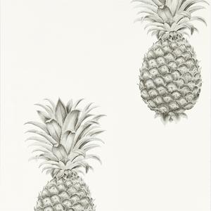 Pineapple Royale - Silver image