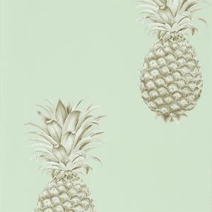 Pineapple Royale - Porcelian / Sepia image