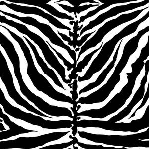 Tiger Stripe - Magpie image