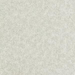 Shagreen - Empire Grey image