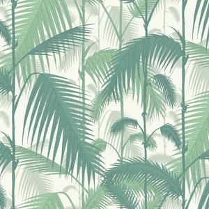 Palm Jungle image