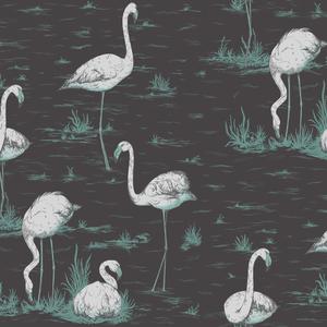 Flamingos image