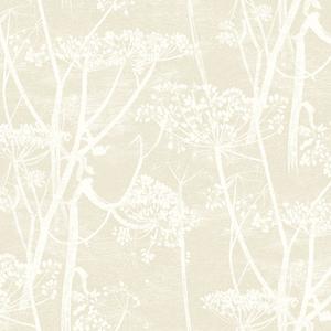 Cow Parsley image