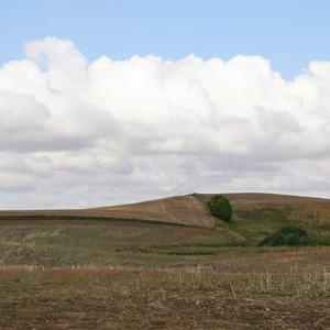 Cropland image