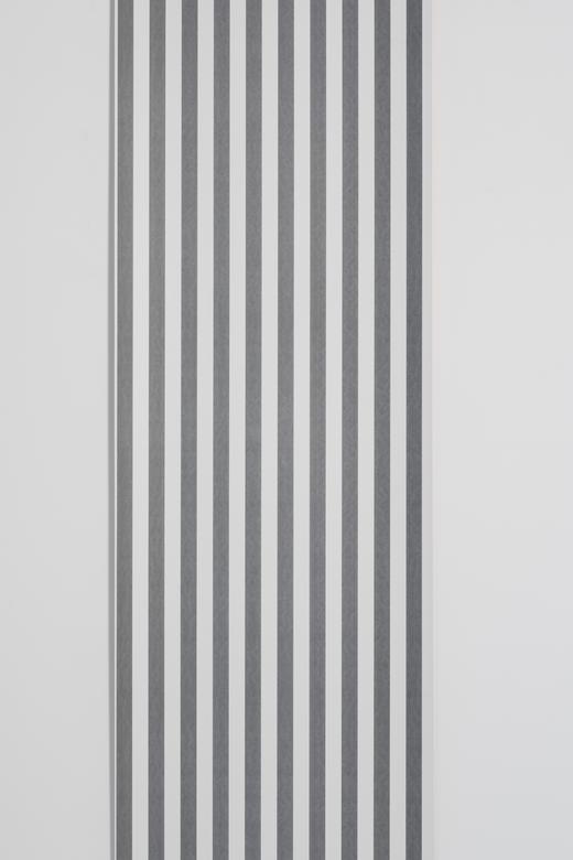 Stripe - White image