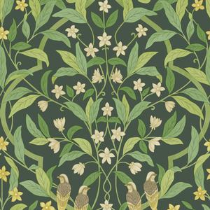 Jasmine & Serin Symphony - Yellow & Leaf Green On Dark Forest Green image