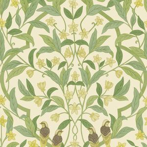 Jasmine & Serin Symphony - Chartreuse & Olive Green On White image