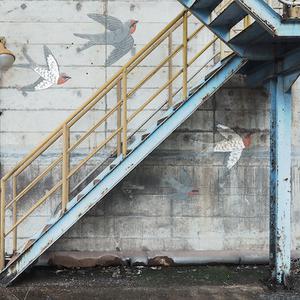 Stairway Graffiti - Swallow image