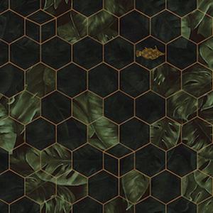 Hexagon Leaves image