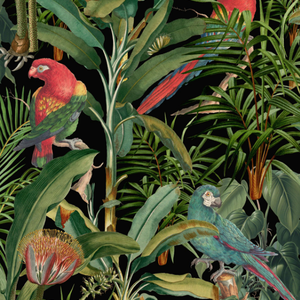 Parrots Of Brasil - Anthracite image