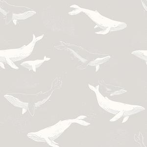 Whales - Grey image