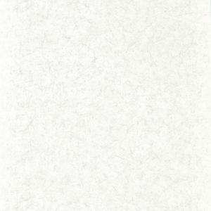 Ajanta - Perfect White image