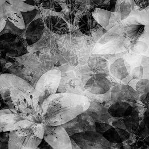 Garden Of Dreams - Black & White image