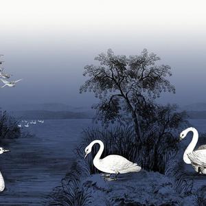 Swan Lake - Nightfall image