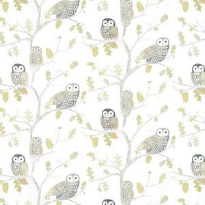 Little Owls - Kiwi image