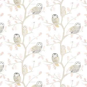 Little Owls - Powder image