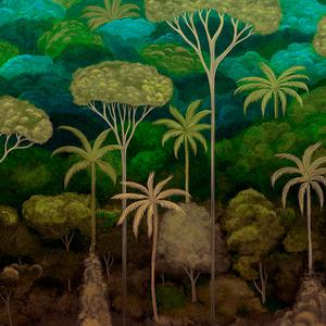 Ciel Tropical - Emerald Forest image
