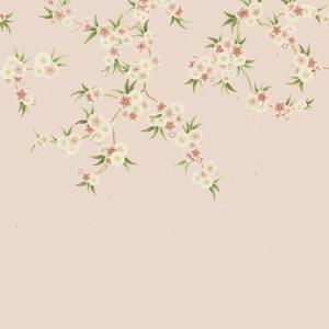 Rosa - Blush Pearl / Peony/Meadow image