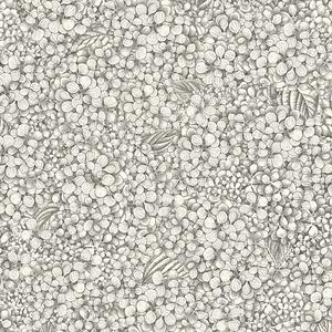 Ortensia - 123/9043 image