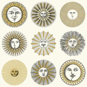 Soli - 123/1002 image