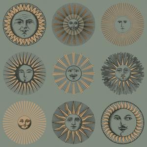 Soli - 123/1003 image