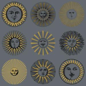 Soli - 123/1004 image