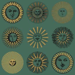 Soli - 123/1005 image