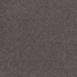 Aristocrat - Earl image