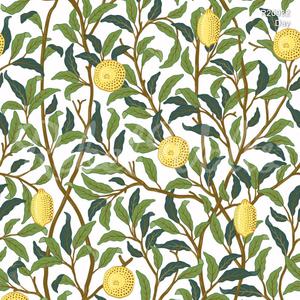 Lemon Garden, Day image