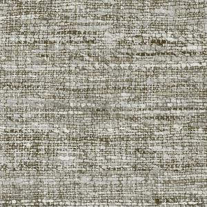 Aspero - Oyster image