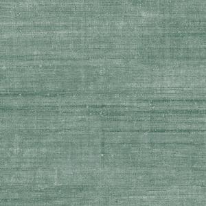 Canvas - Sage image